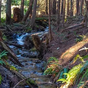 Forest Haven Hideaway Bed & Breakfast Roberts Creek